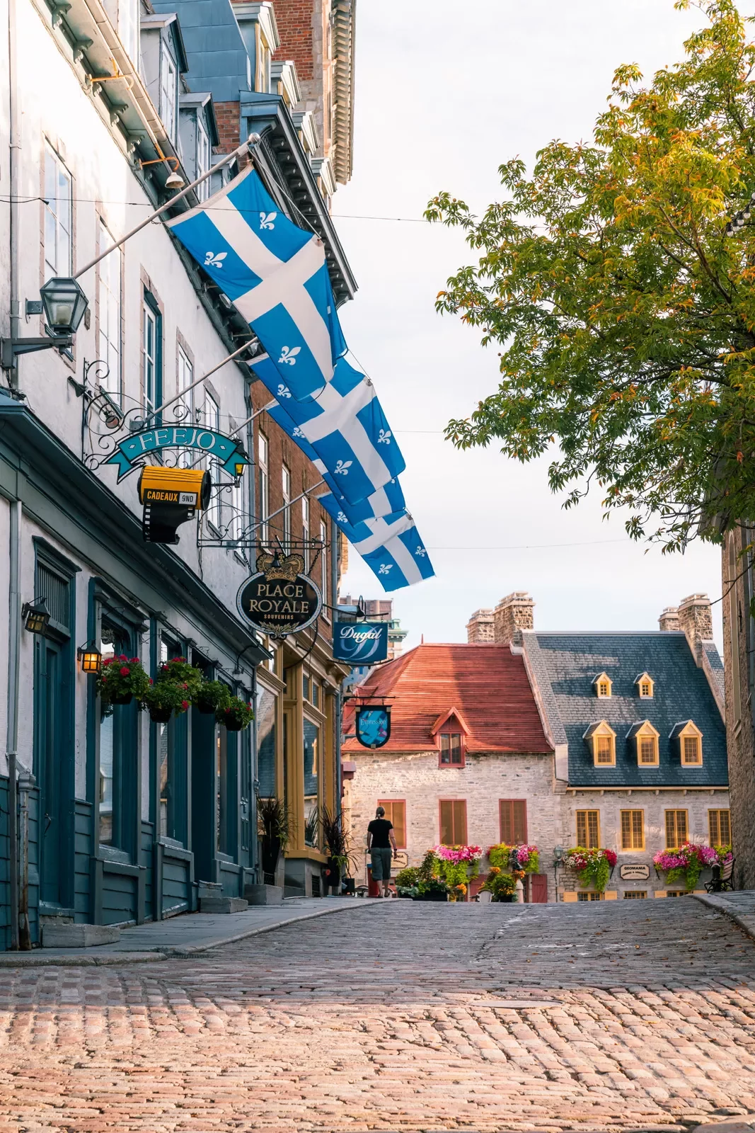 Flags flying over cobblestone streets
