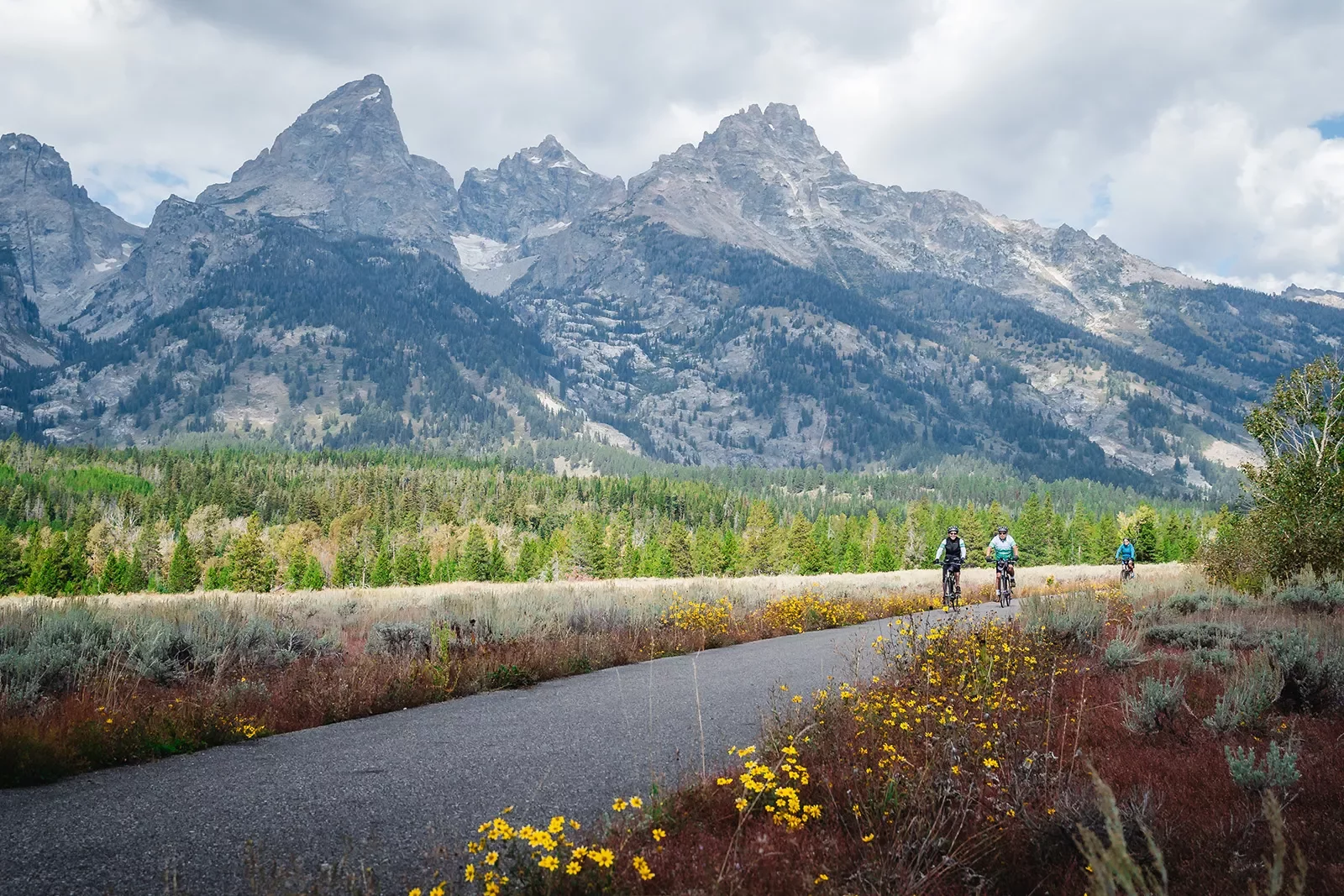 Three people biking with the Tetons in the background