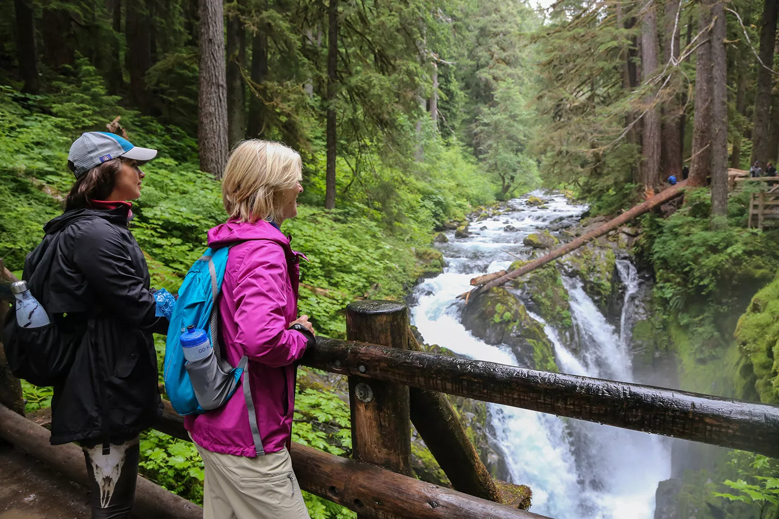 Olympic Peninsula to British Columbia Women s Walking Hiking Tour Backroads Active Vacations