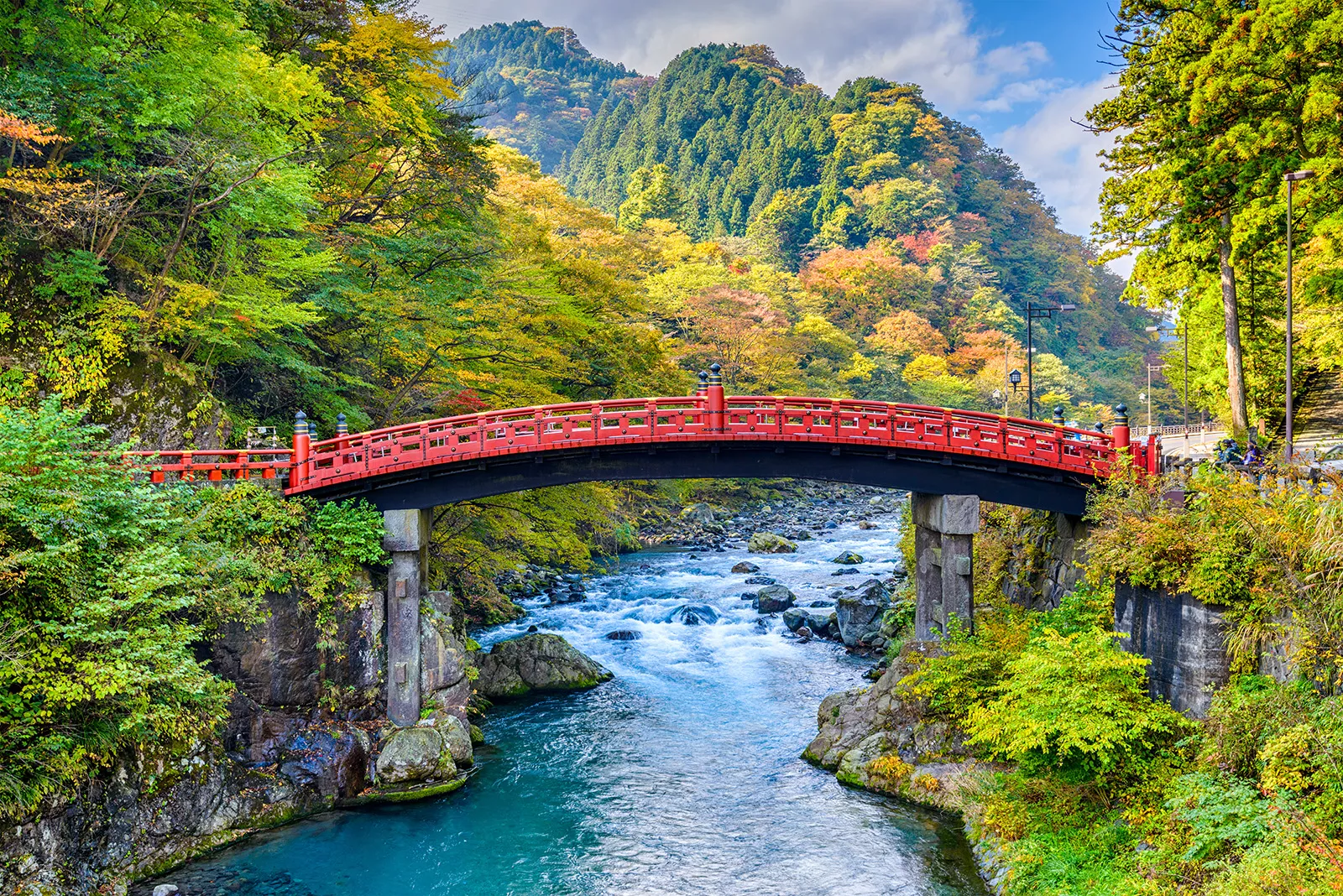 邦楽 DESTINATION Japan Multi-Adventure Tour | Backroads Adventure Travel