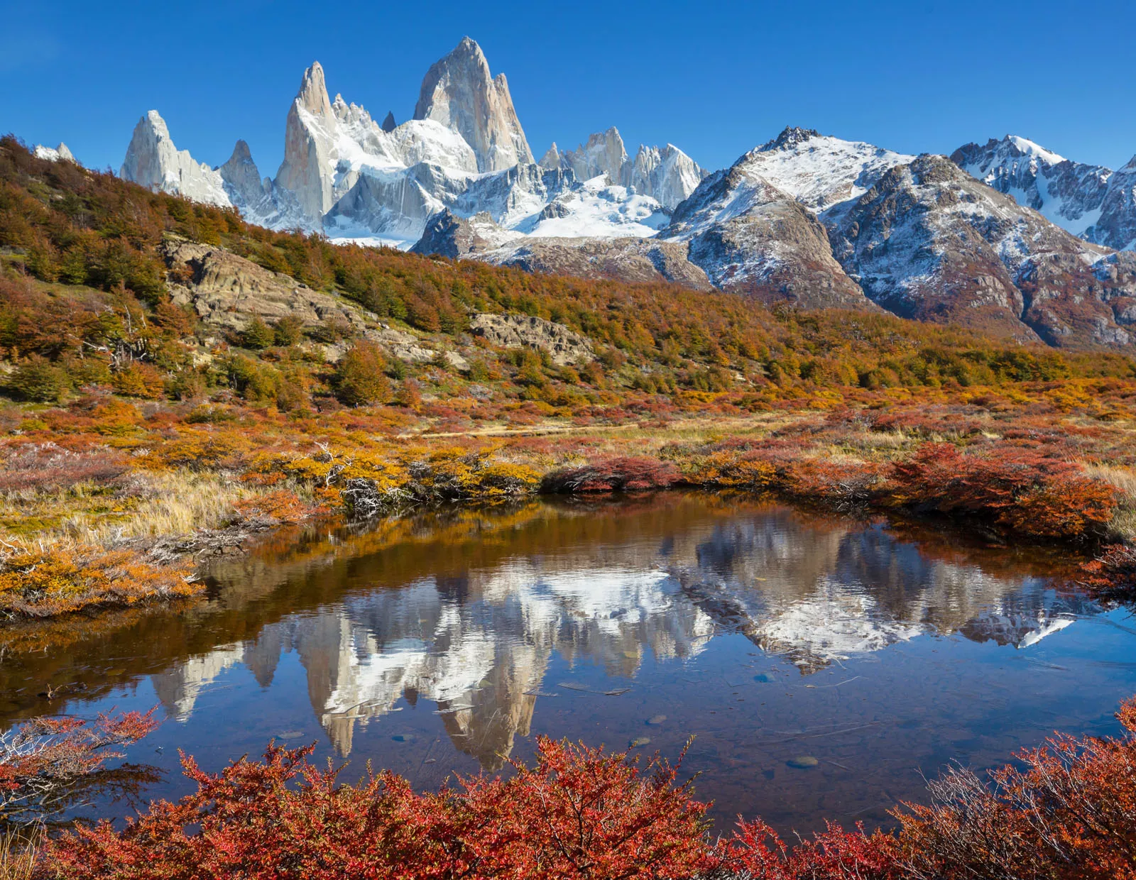 Small pond in the middle of a valley of bushes