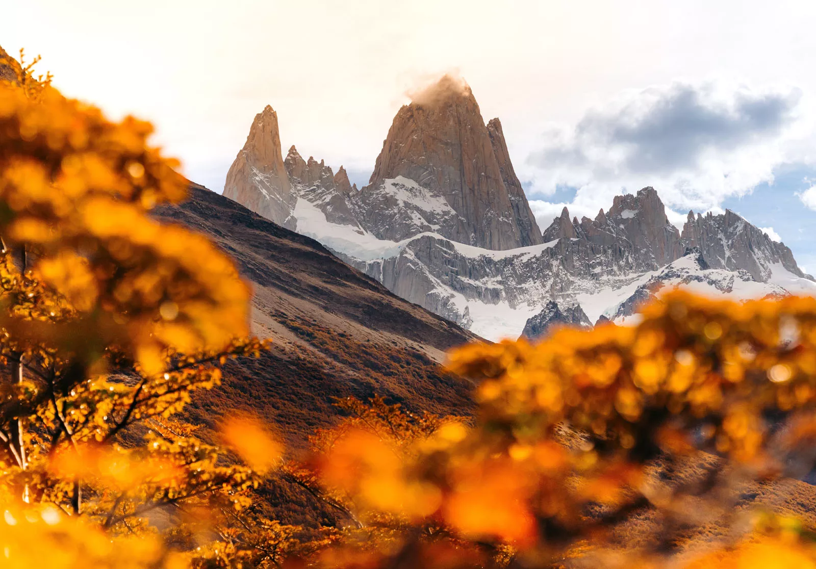 Trees with orange leaves on a hill, with snow-capped mountains in the distance
