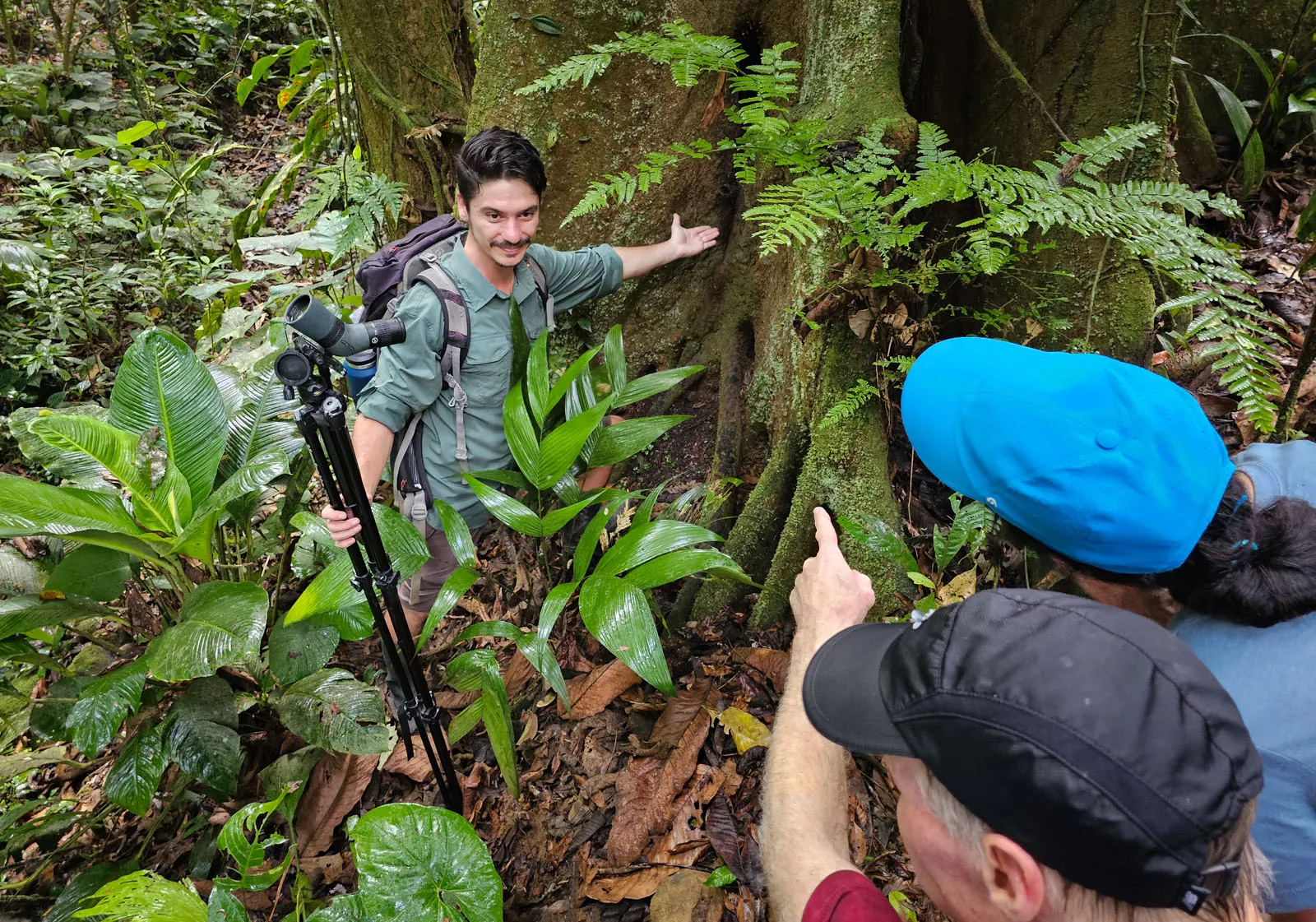 Man holding tripod wile pointing to a large tree