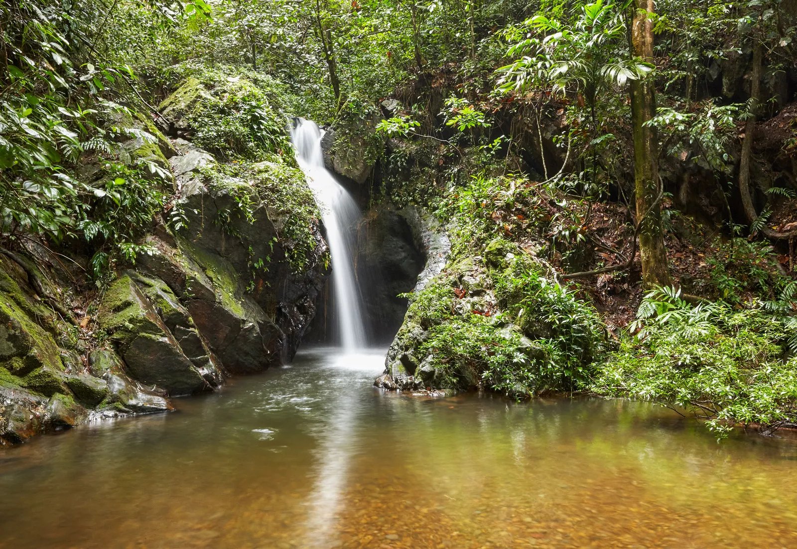 Lake inside of a forest, with a waterfall in the back