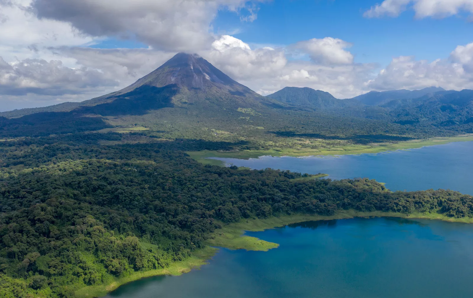 Sky view of forest surrounded by a large lake