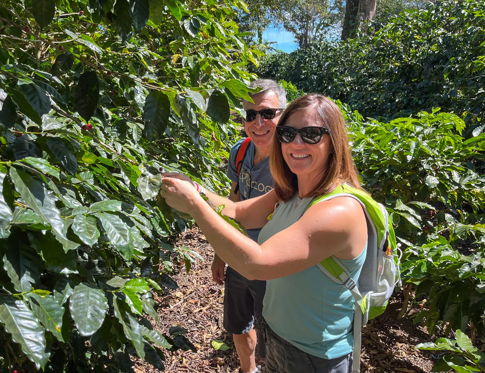 Man and woman wearing sunglasses, smiling while picking berries