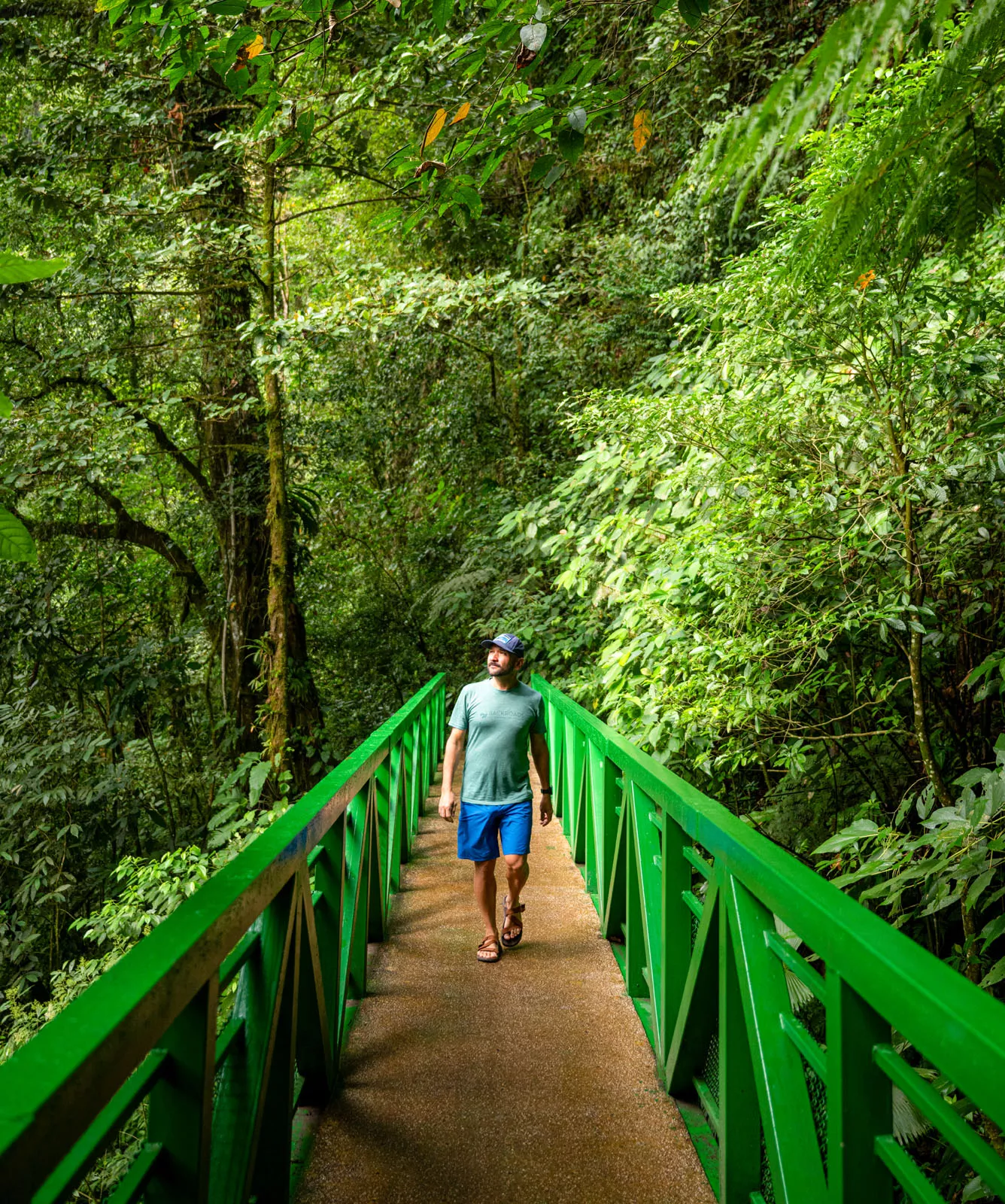 Man walking on a green bridge in the middle of a jungle