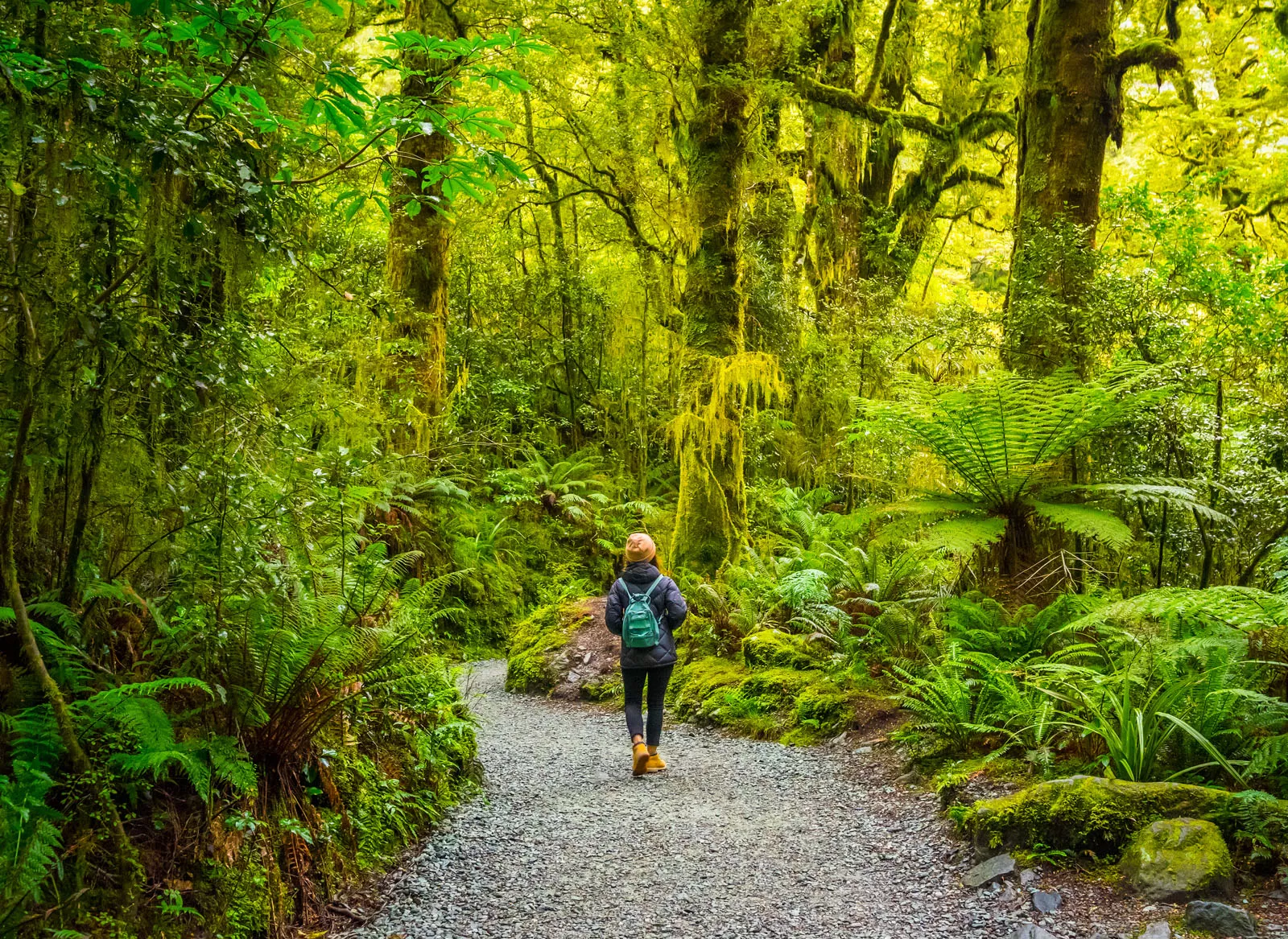 Woman walking in a forest on a gravel trail