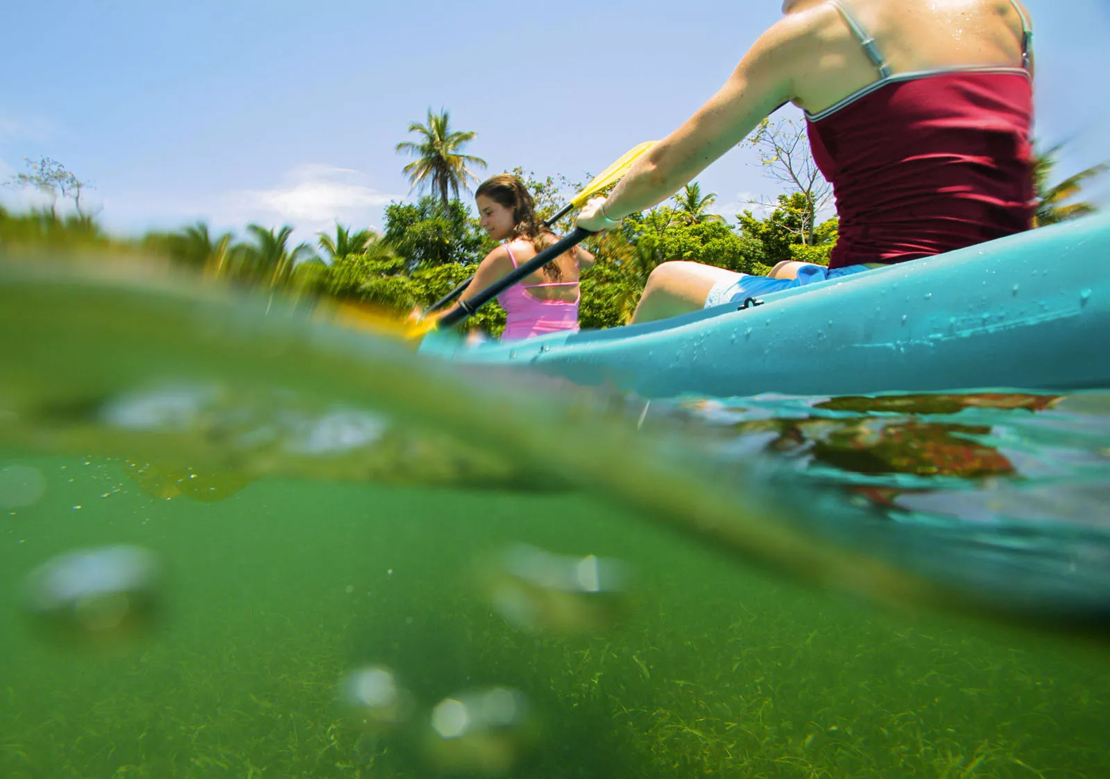 Women paddling on blue kayaks in the water