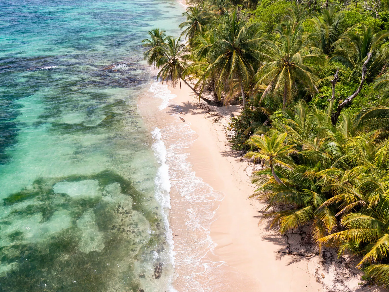 Sky view of beach with a jungle to the right