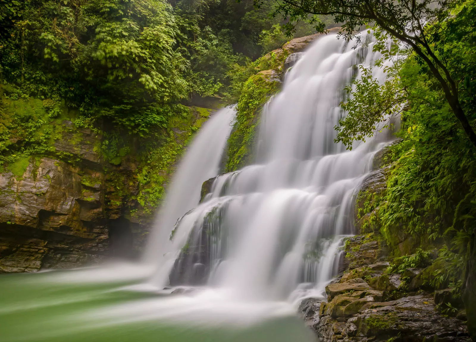 Waterfall in the middle of a jungle