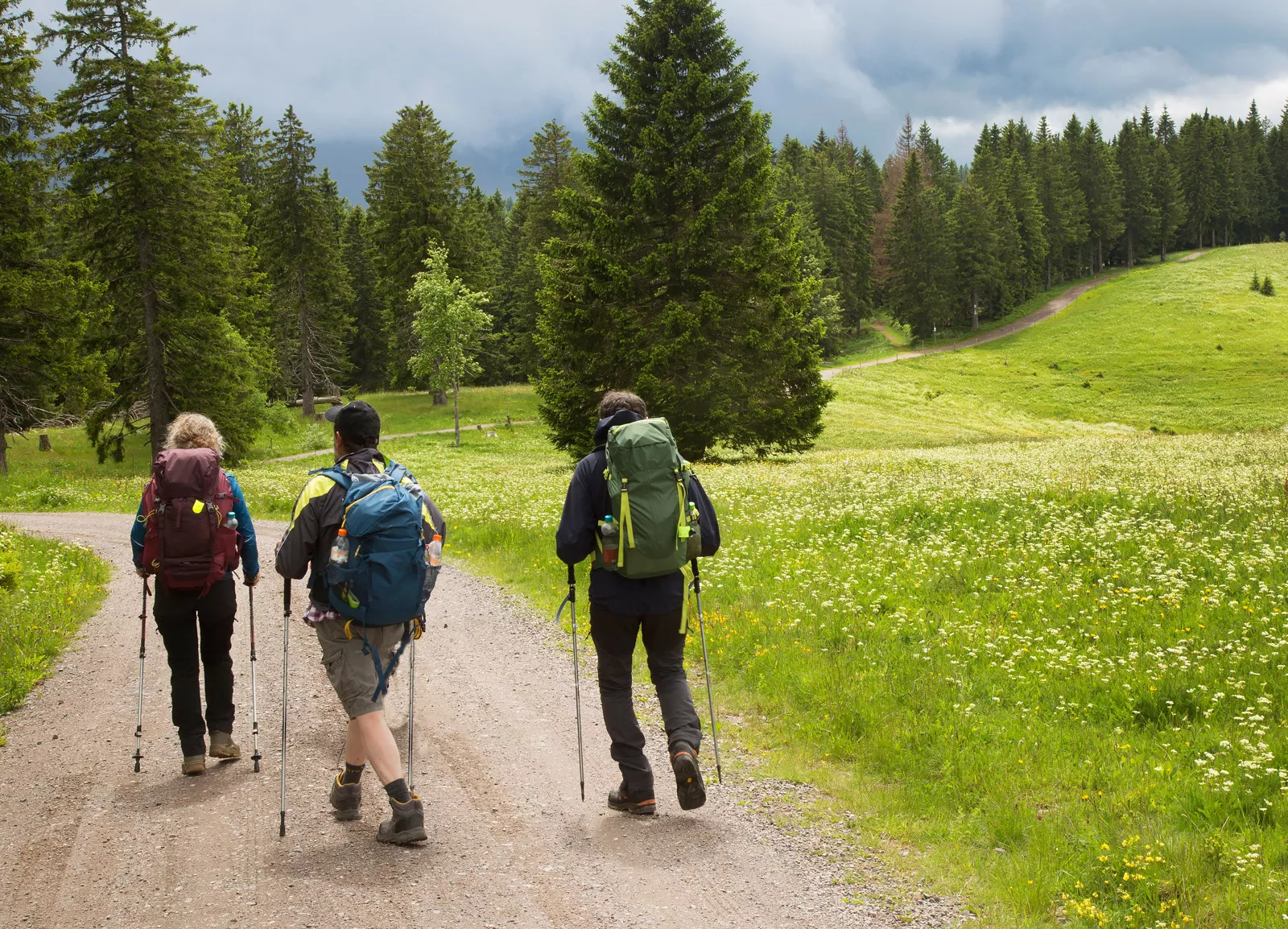Group of people wearing backpacks and using hiking poles while walking on a dirt trail