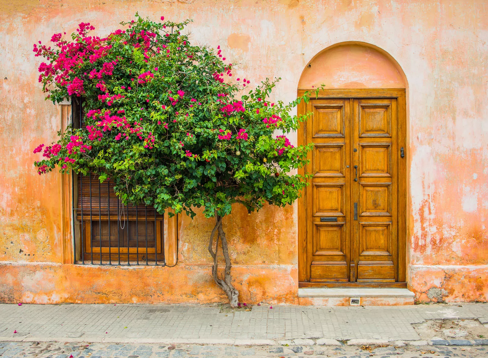 Exterior view of orange building with a small tree in front