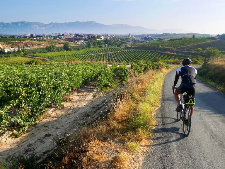 Backroads cycling discount