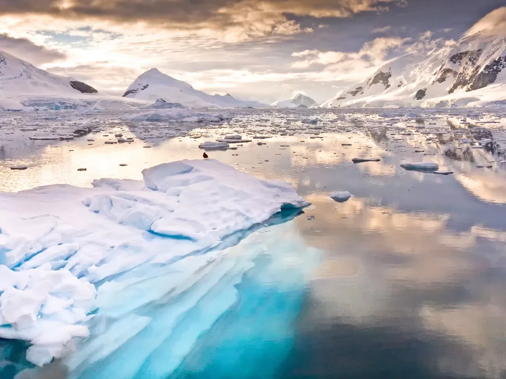 Landscape of Paradise Bay Antarctica