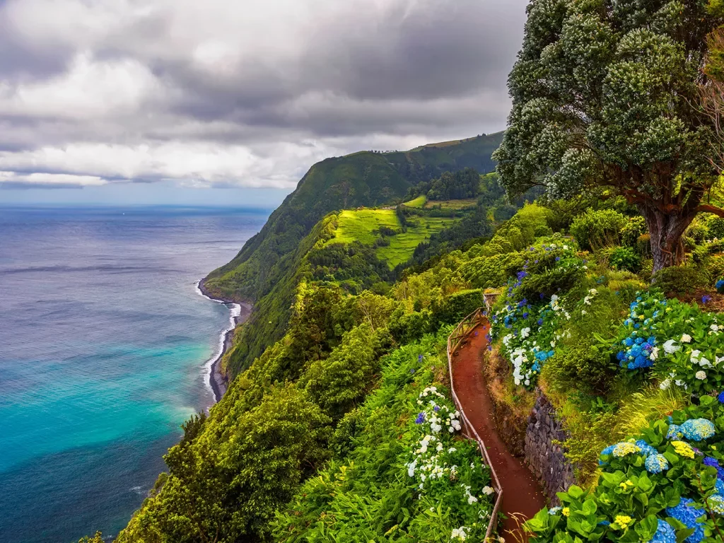 View of flowers on a mountain and the ocean in Miradouro da Ponta do Sossego Nordeste, Sao Miguel, Azores, Portugal. 