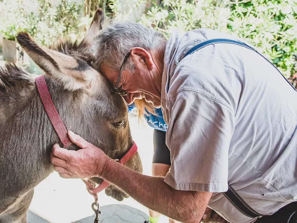 Backroads Guest Saying Hi to a Donkey in Alsace