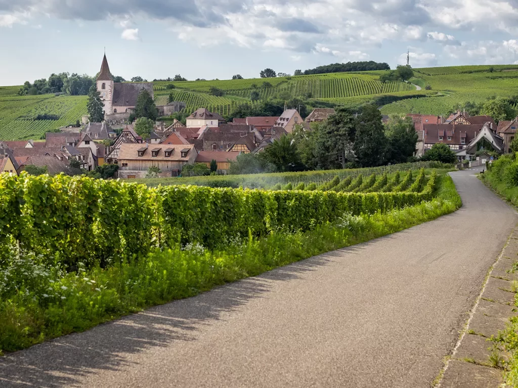Road to Town in Alsace