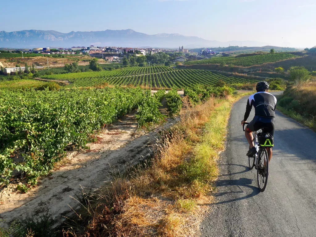 Backroads Guest Biking with Mountain, Town, and Vineyard View