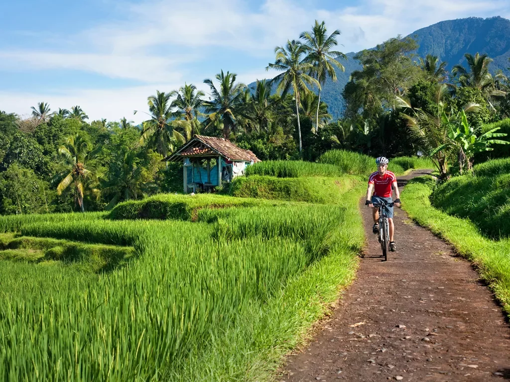 Indonesia, Bali, Tegalalang, Man cycling through country road