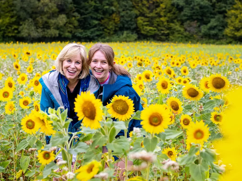 Guests in a field of sunflowers