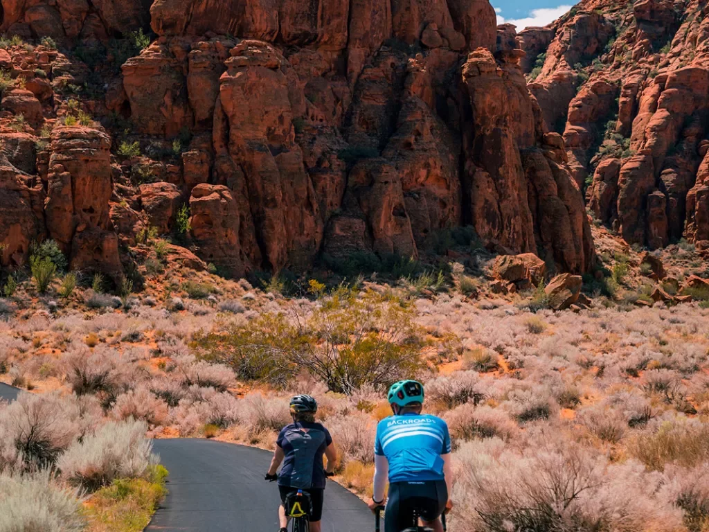 Two bikers back shot in Arizona