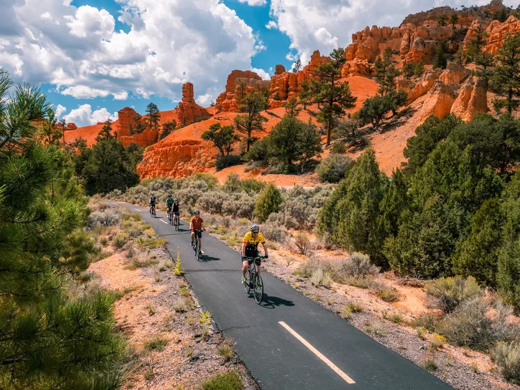 Five guests cycling down road, vibrant orange rocks behind them, trees beside them.