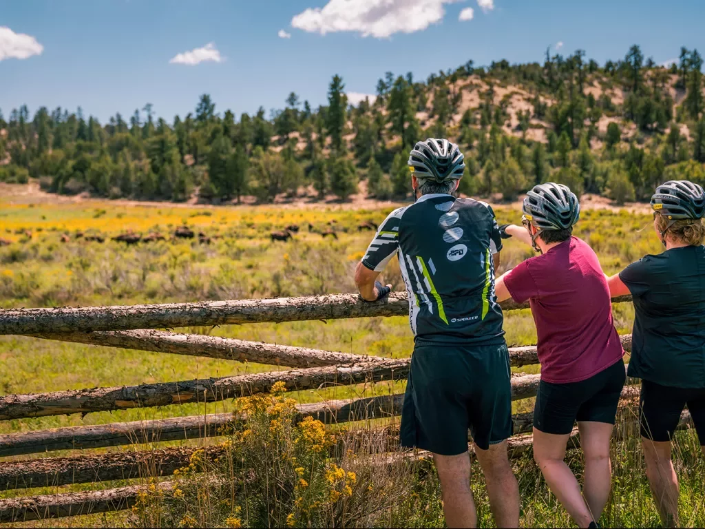 Rear shot of three guests in bike gear, looking towards grassy meadow.