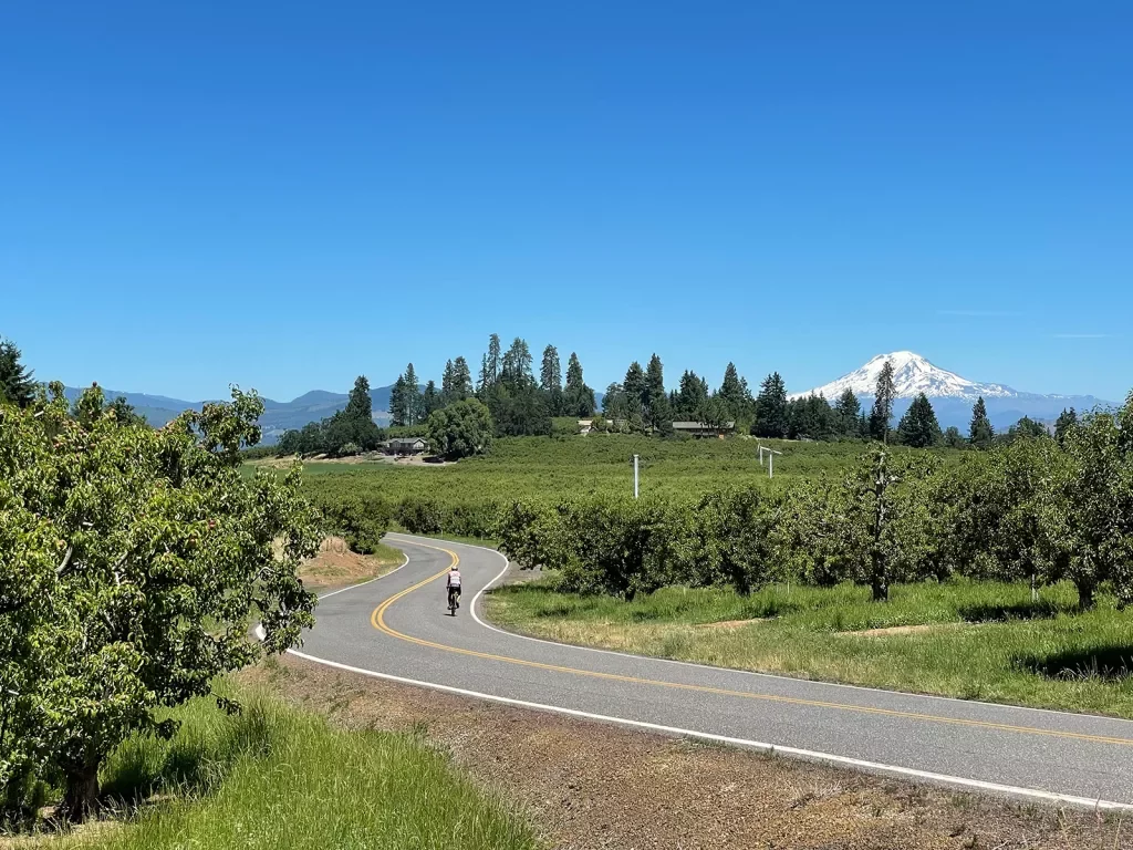 Guest cycling past fruit trees, Mount Hood in background.
