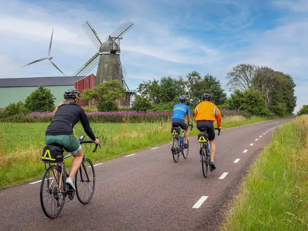Cycling by Windmills 
