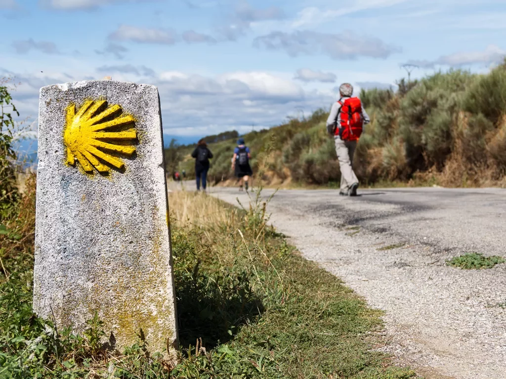 The Yellow Scallop Shell Signing the Way to Santiago de Compostela on the St James Pilgrimage Route