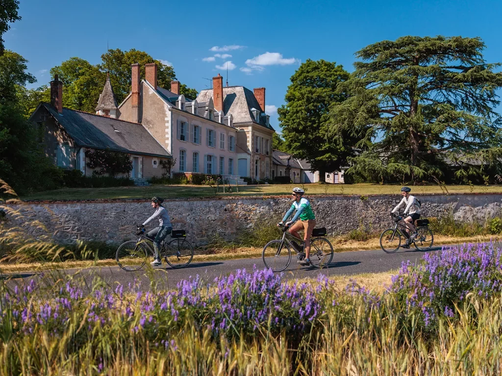 Three guests cycling past French estate, lavender bushes all around.