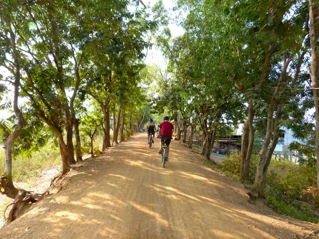 Cyclist riding on a dirt path through the Mekong Delta