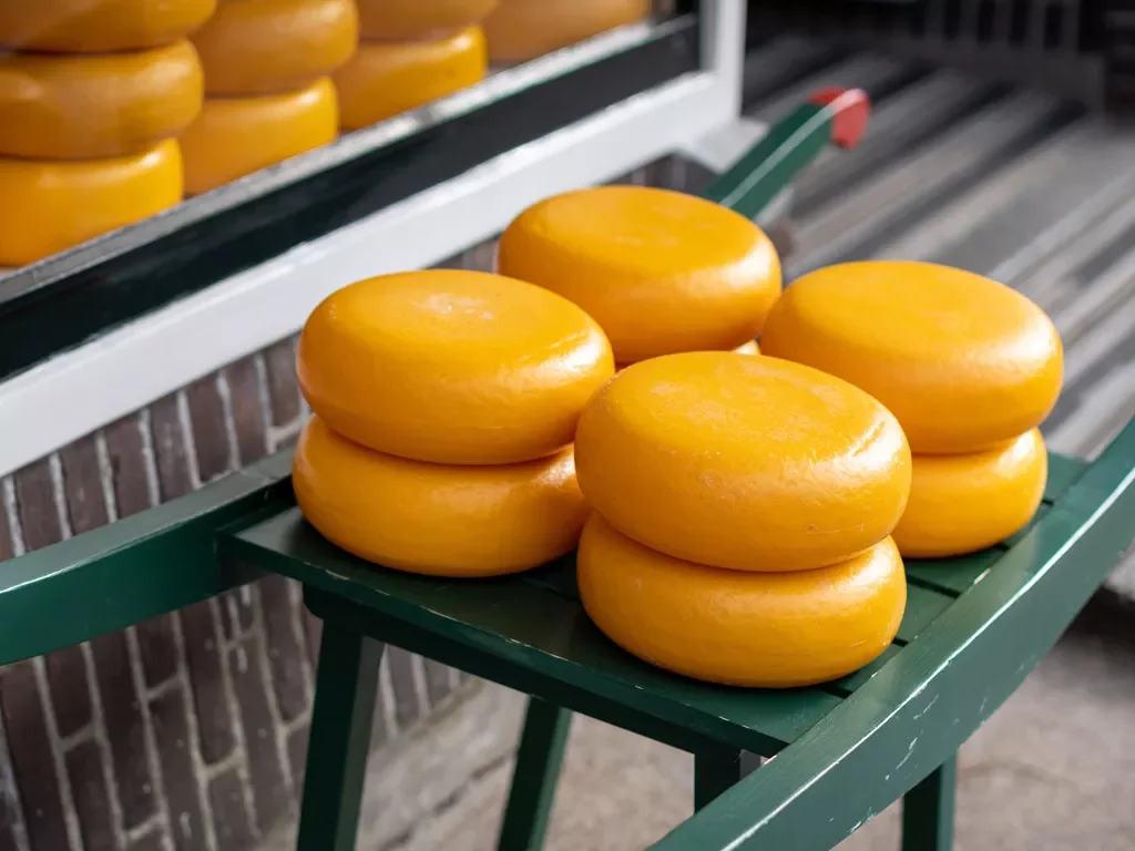 Cheese wheels