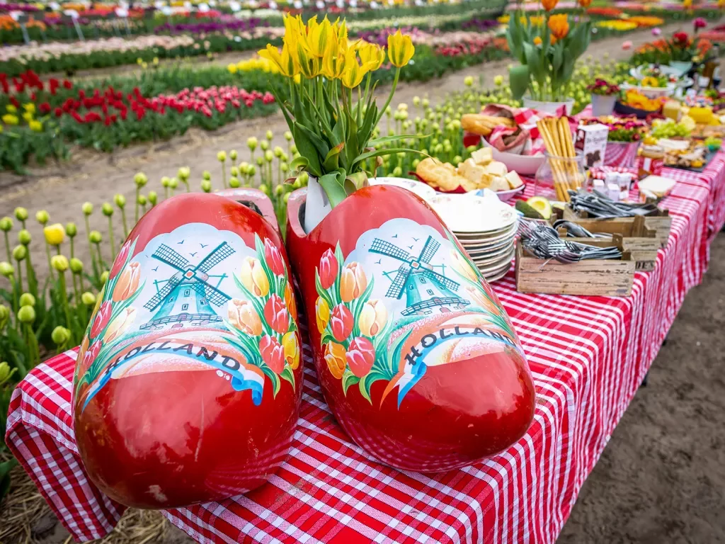 Shot of lunch spread, large clogs, flower beds in background.