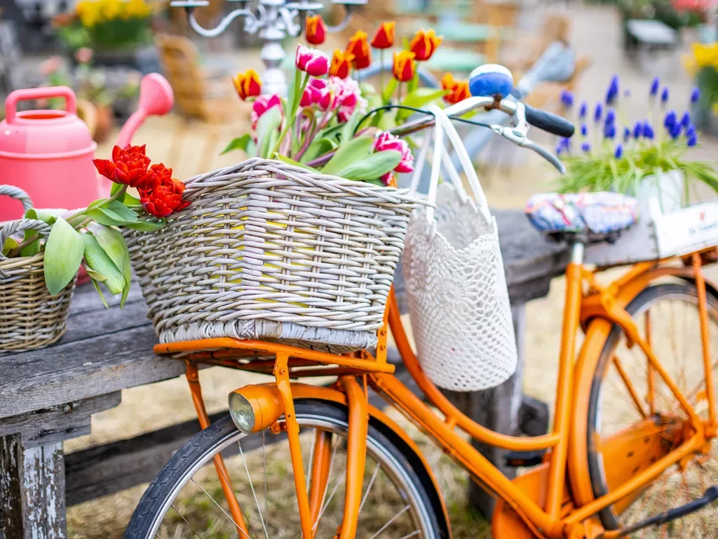 Close-up of orange bike w/ basket, flowers, bench, etc.