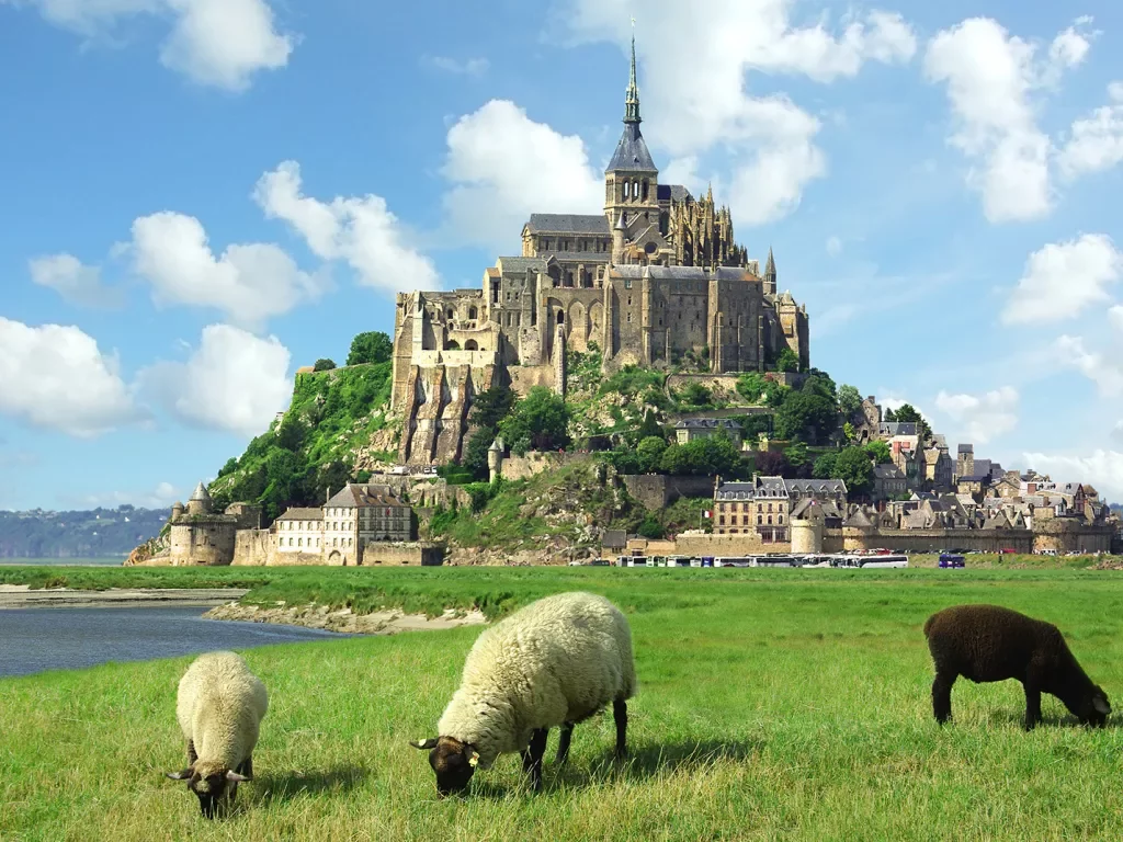 Sheep Grazing in Front of Castle