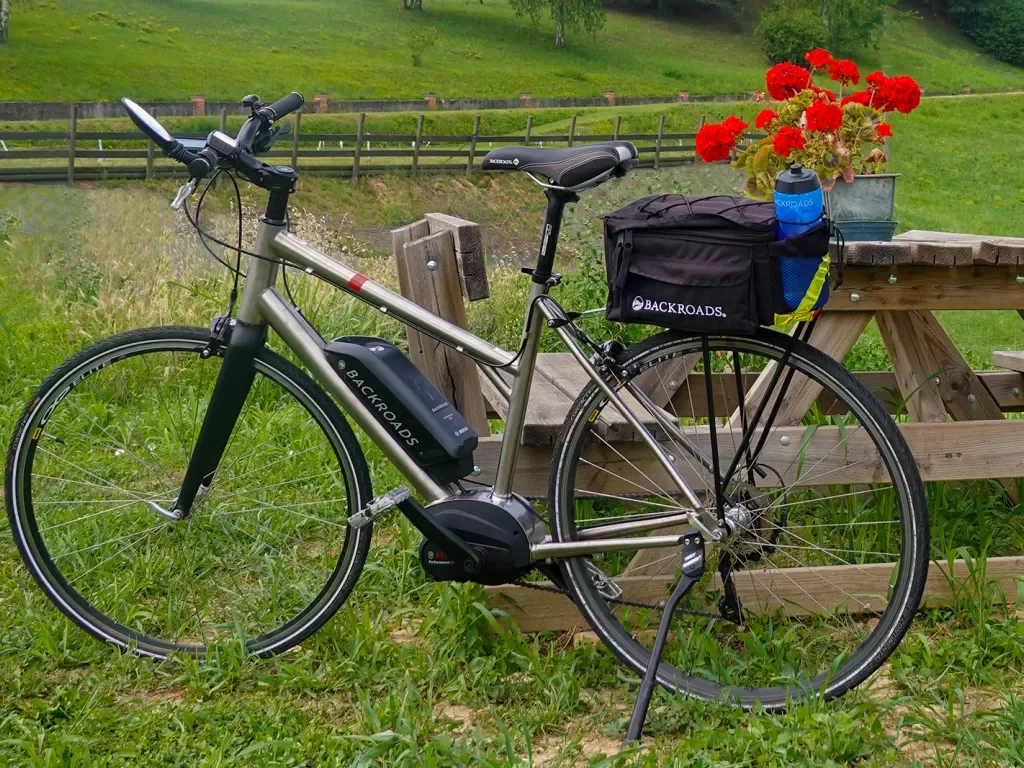 Shot of ebike, red flowers on wooden table behind it.