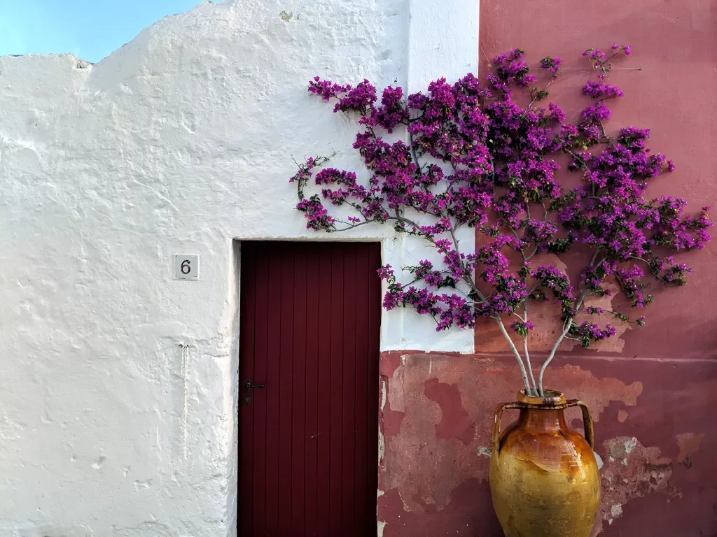 Close-up of building, white and red walls, red door and purple flowers visible.