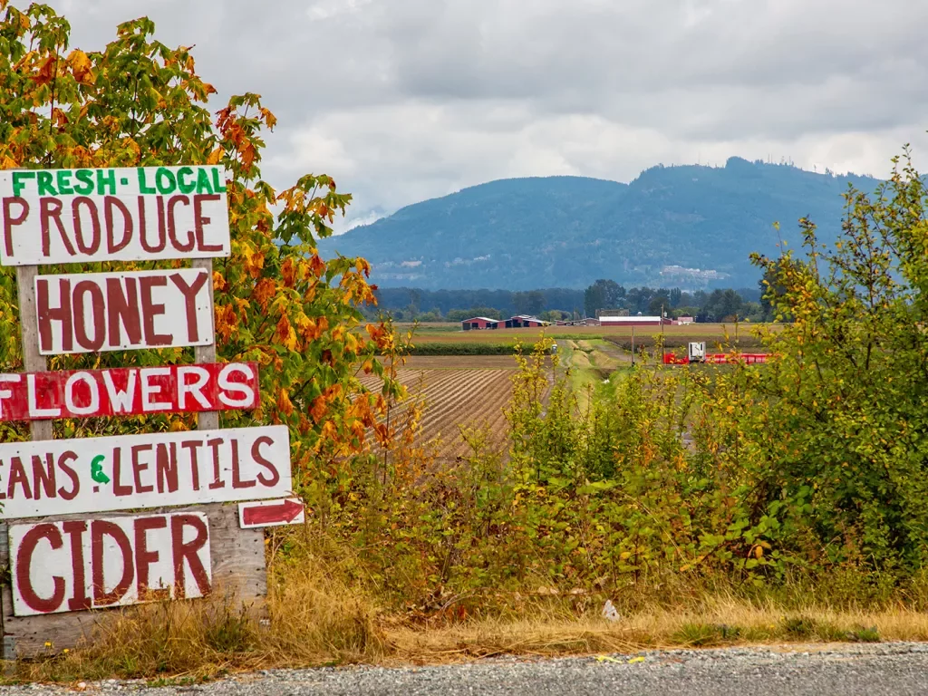 "LOCAL PRODUCE" sign, crops and farm in background.