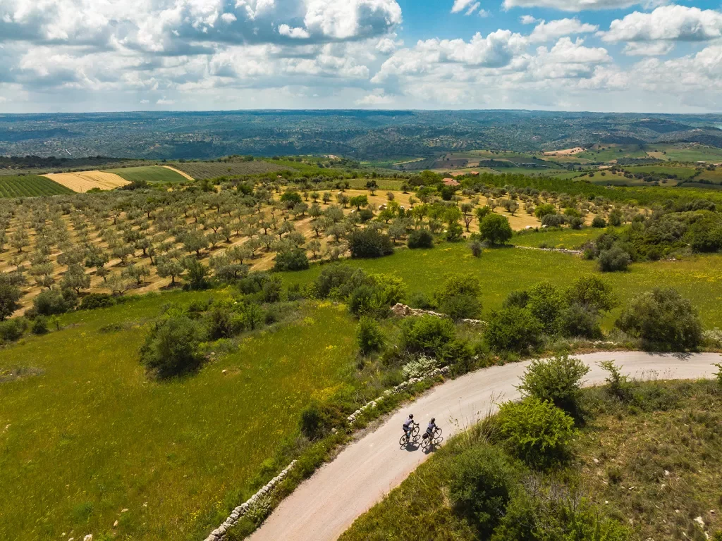 Bird's eye shot of two guests cycling in Medit. wine country.