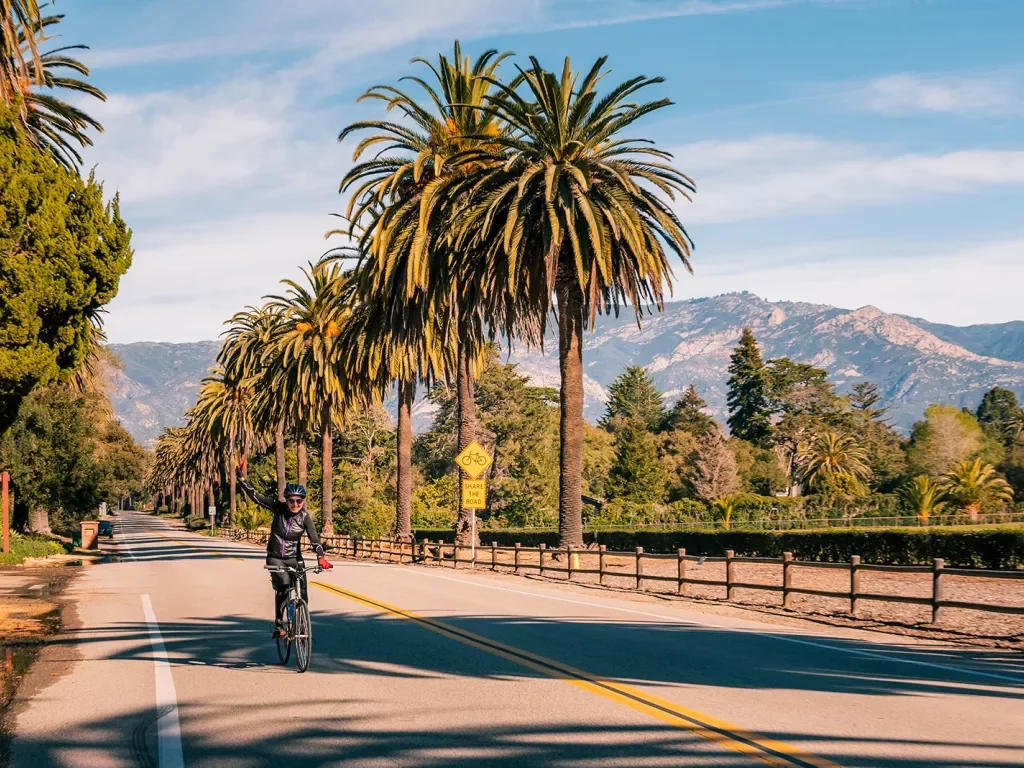 Guest cycling down road, waving to camera, palm trees lining road on  their left.