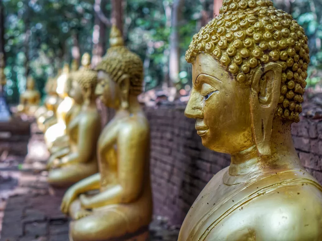 Collection of goldenBuddha statues