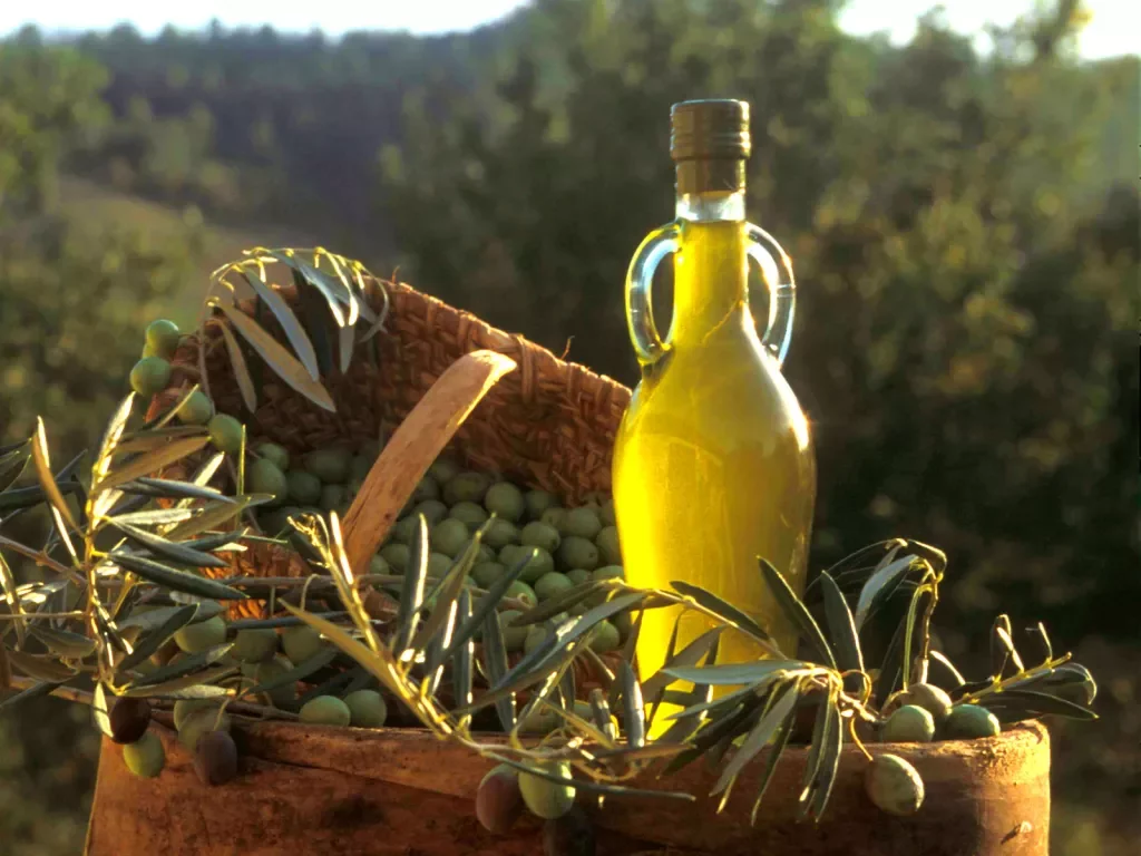 Close up of olives and bottle of olive oil.