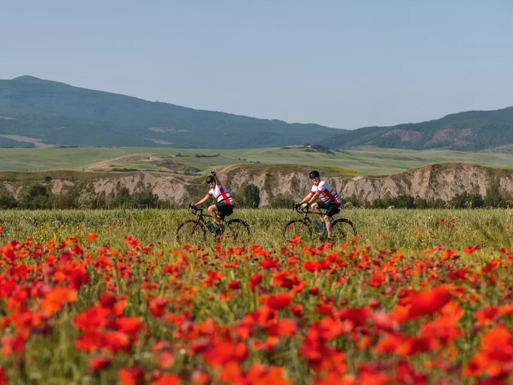 Guests cycling in front of red flower bushes, hills in distance.