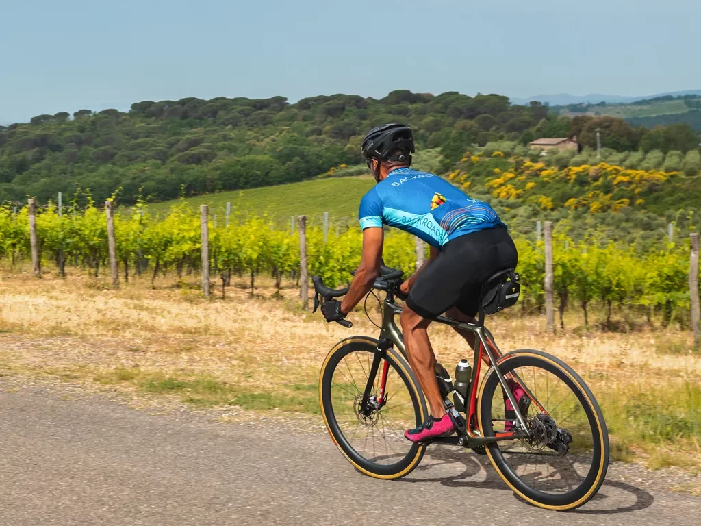 Guest biking past vineyard.