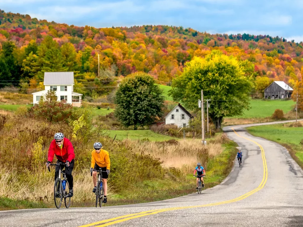 Four guests cycling up autumnal road, house, forest in distance.