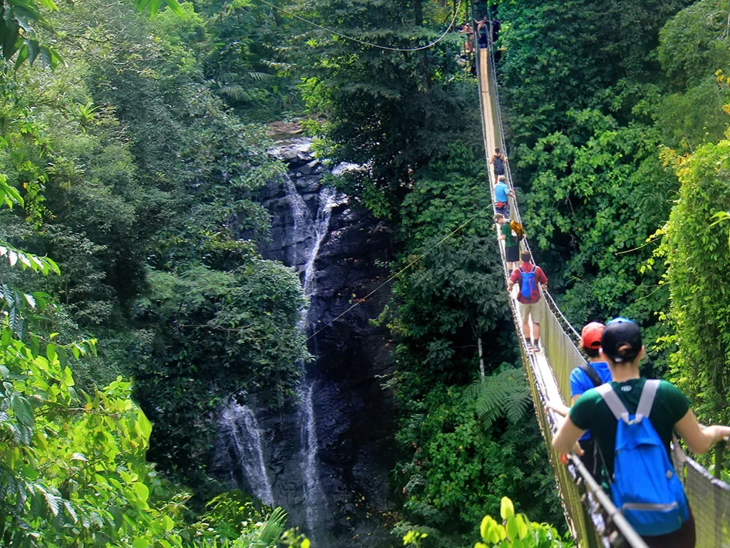 Guests Water Fall Hiking Sky Bridge Costa Rica