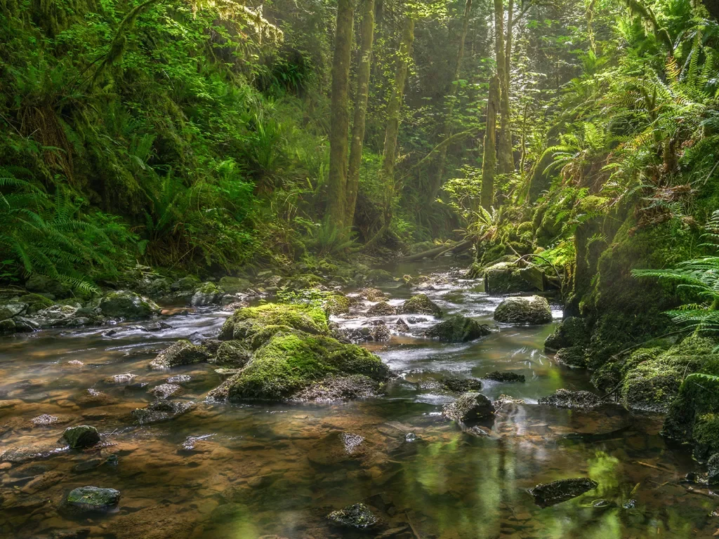 Tod Creek in Gowland Tod Provincial Park, Victoria, British Columbia Canada