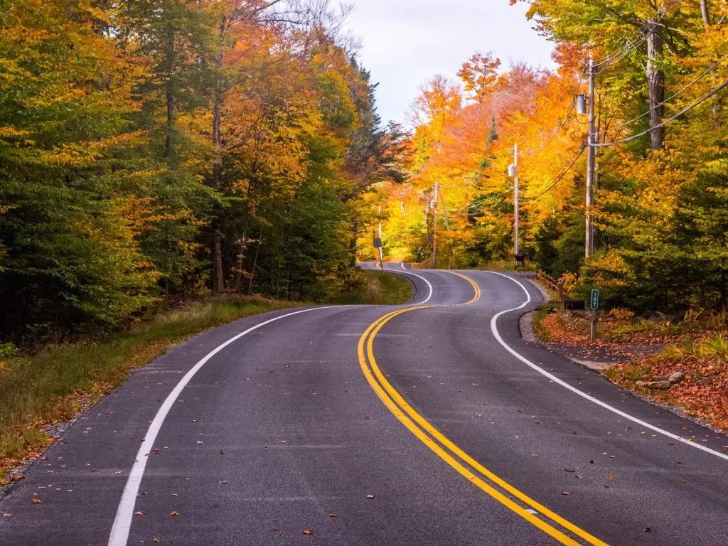 Winding road lined with fall trees in upstate New York.